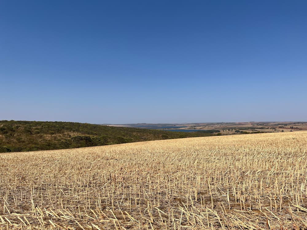 Vista panorâmica do Cerrado com vegetação nativa