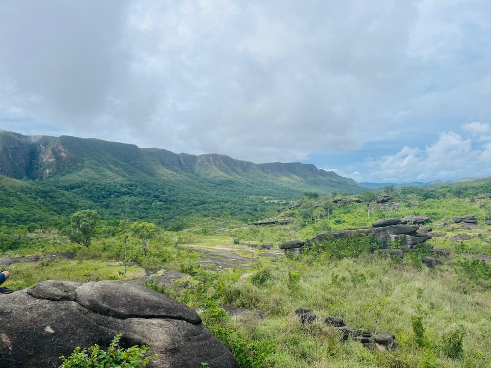 Vista panorâmica do Cerrado com vegetação nativa