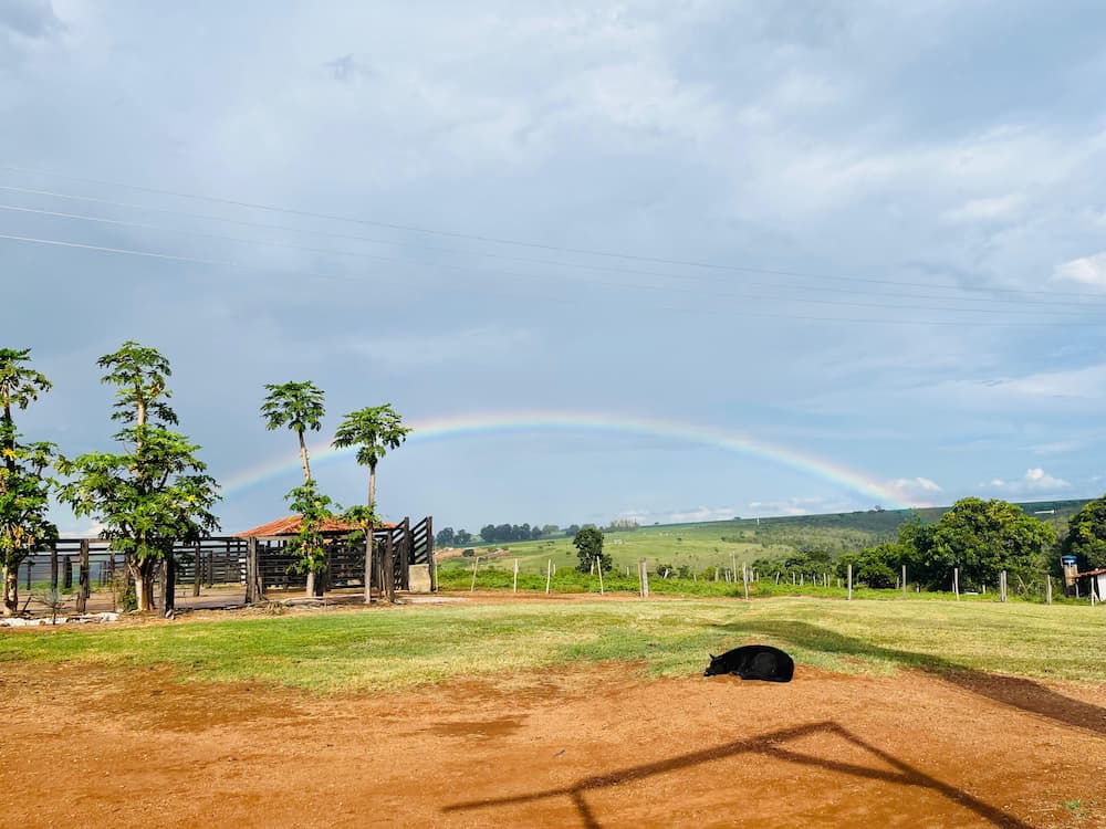 Vista panorâmica do Cerrado com vegetação nativa