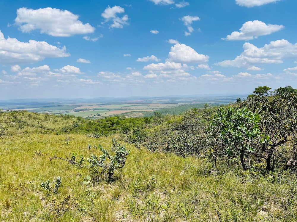 Vista panorâmica do Cerrado com vegetação nativa