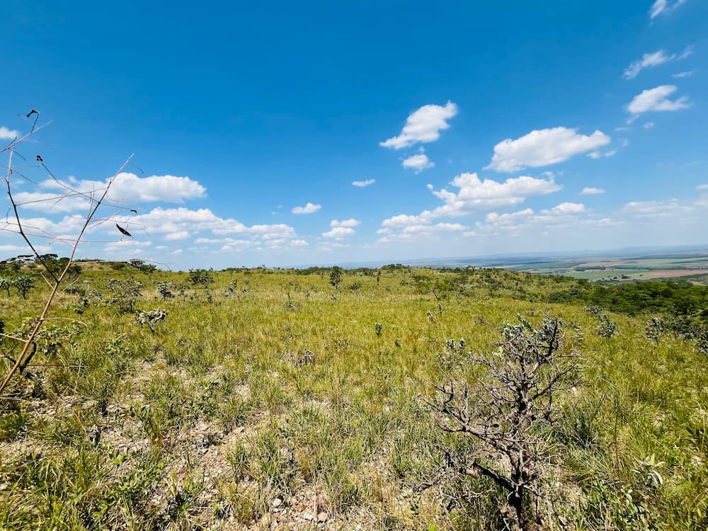 Vista panorâmica do Cerrado com vegetação nativa
